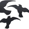 HAWK Bird silhouette different sizes 3 pcs - Image 2