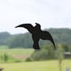 HAWK Bird silhouette different sizes 3 pcs - Image 4