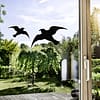 HAWK Bird silhouette different sizes 3 pcs