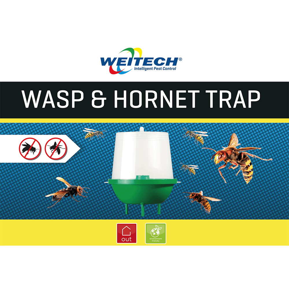 WASP and hornet trap.