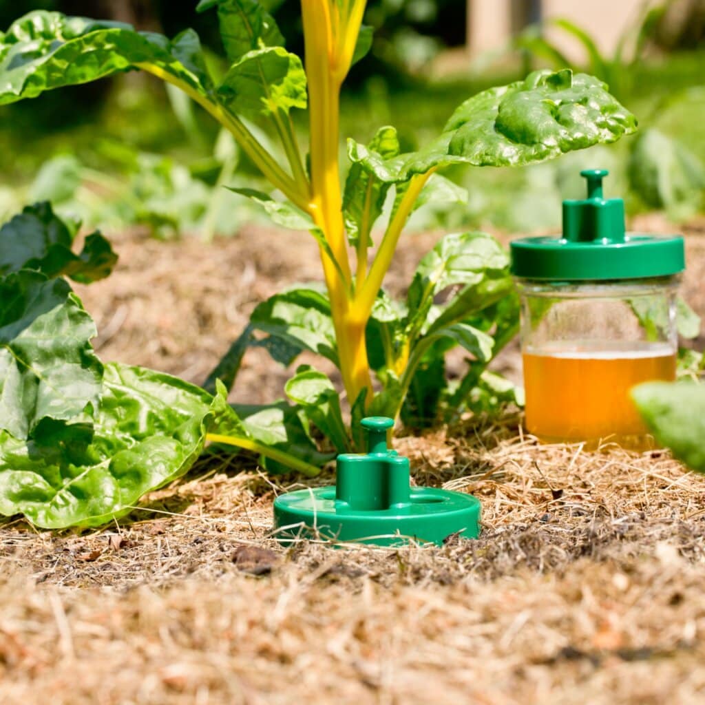 DIGGER Snail trap 2 pcs - Image 3