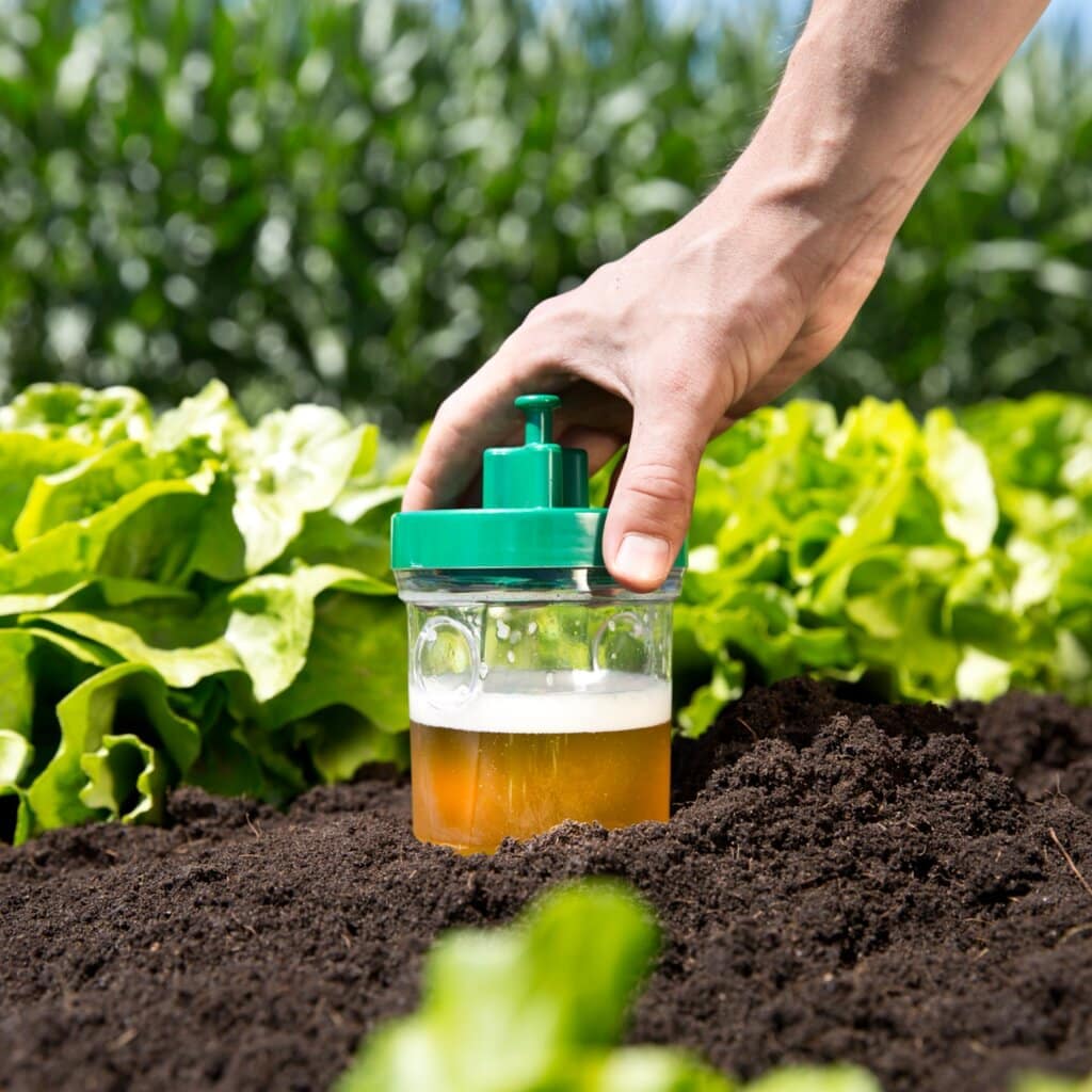 DIGGER Snail trap 2 pcs