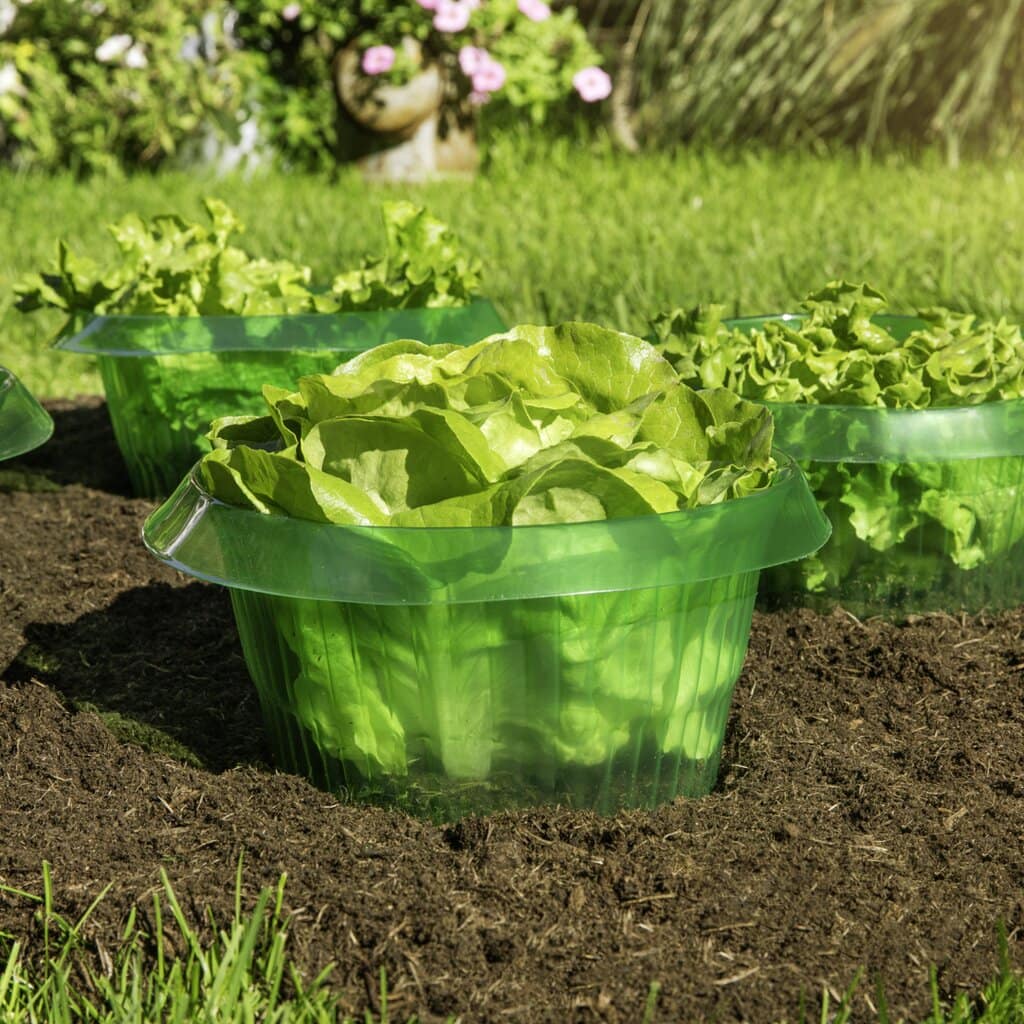 BARRIER Snail protect 6 pcs - Image 2