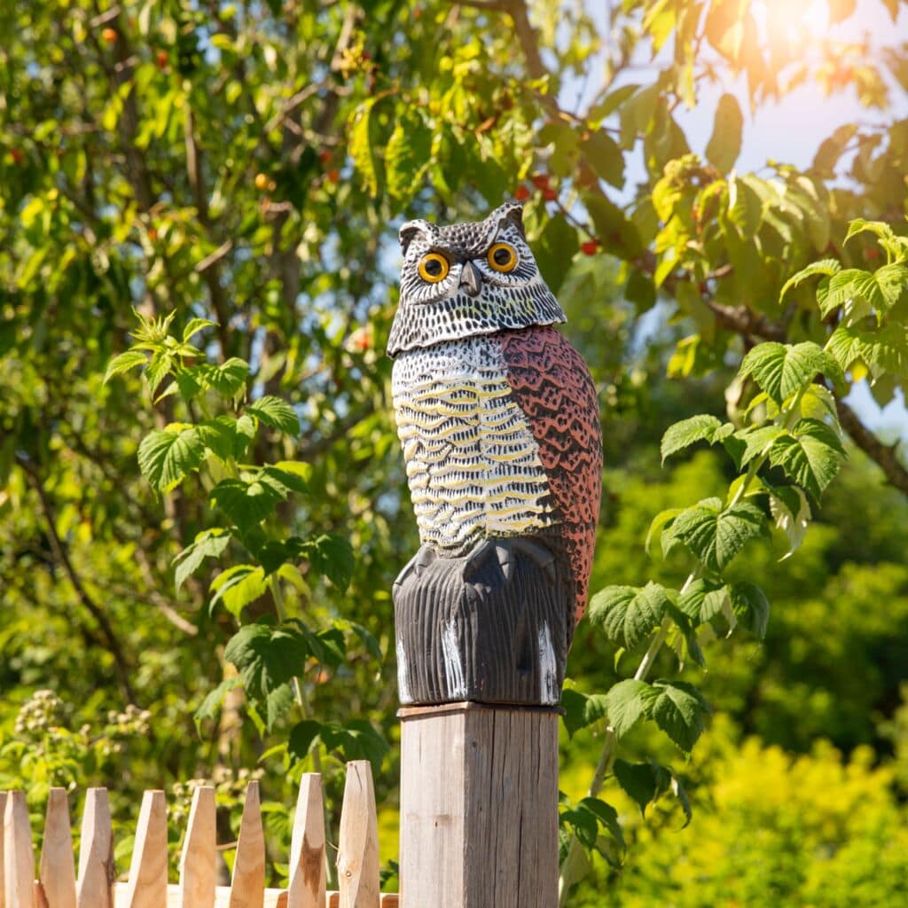 OWL Scarecrow, owl with moving head