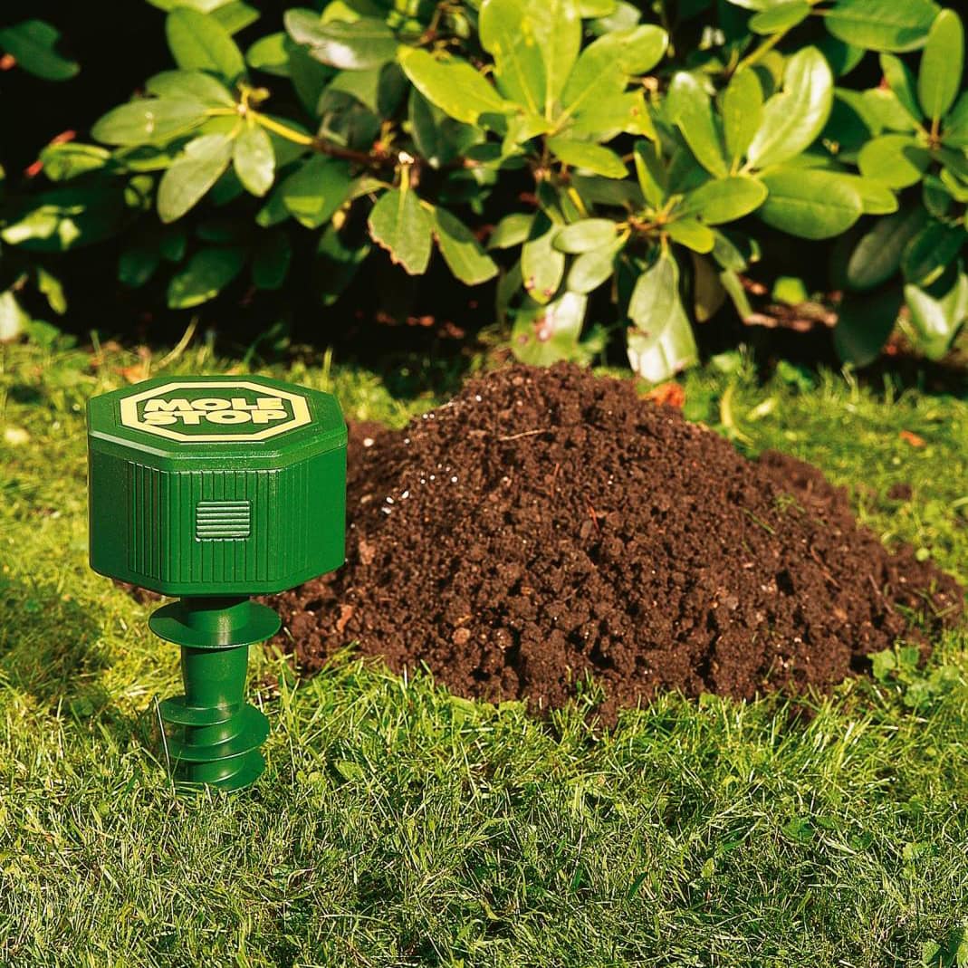 MOLE STOP 1000, marknadens mest effektiva orm-, mullvad- och sorkskrämma - Bild 3