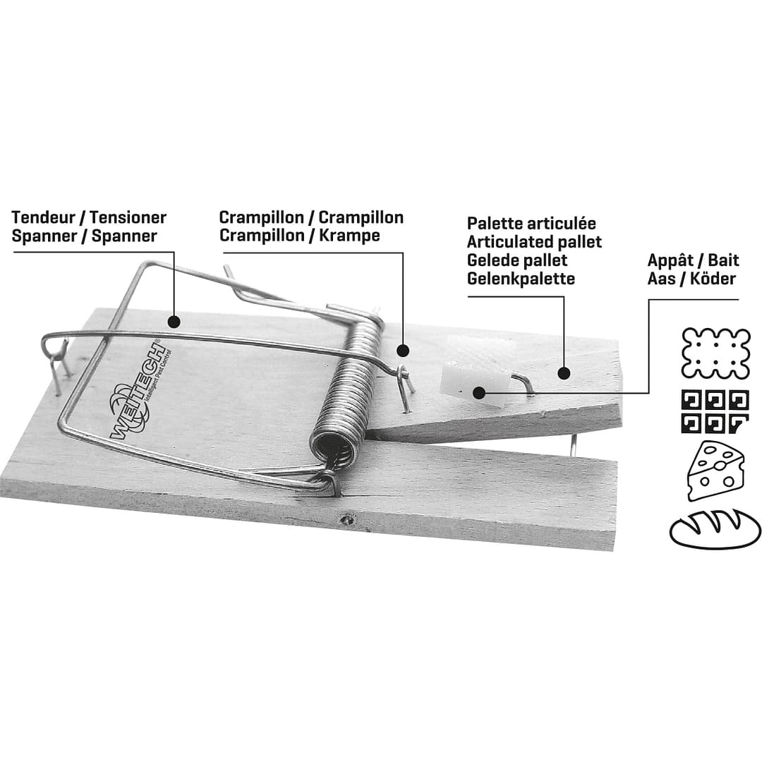 GRAB II Rat Trap - Image 2