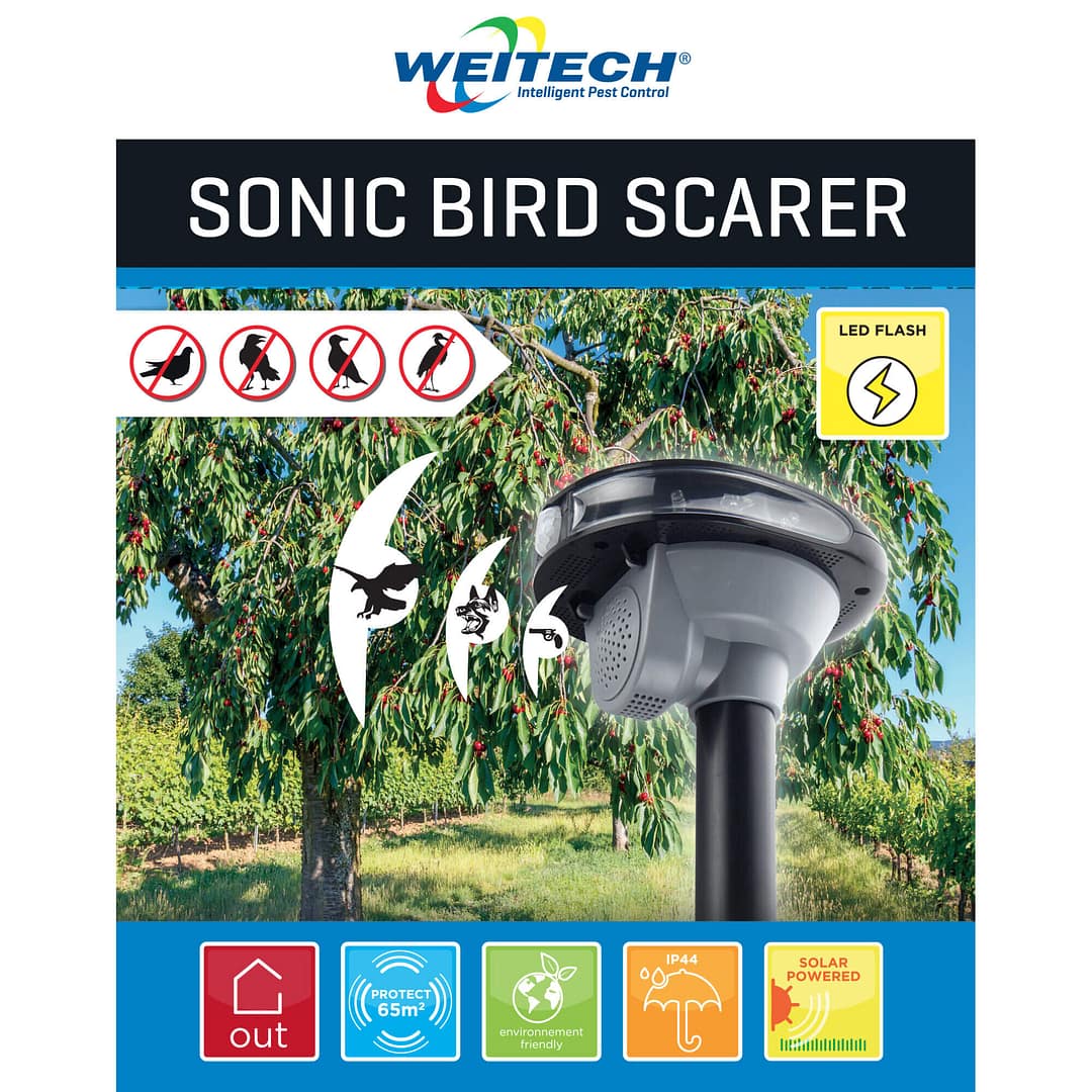 PRAY Sonic Bird Scarer, solar powered - Image 2