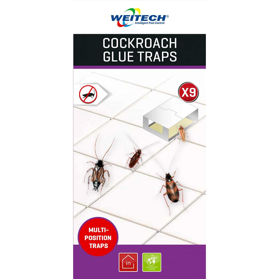 SIMPLE Glue traps Cardboard box for silverfish and cockroach 9pcs