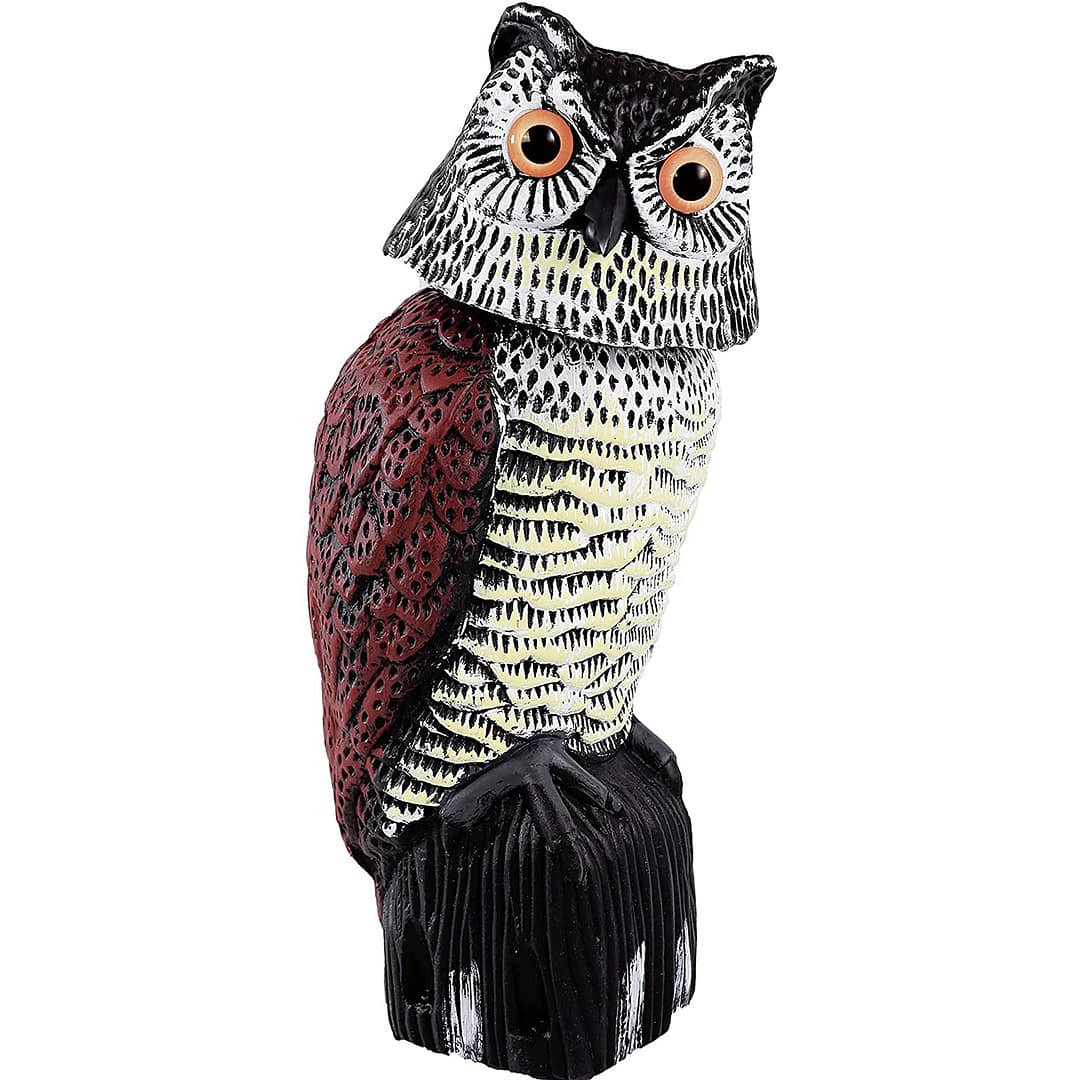 OWL Scarecrow, owl with moving head - Image 2