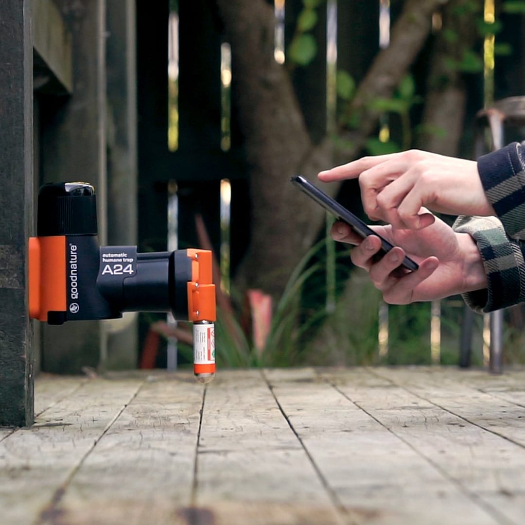 Goodnature® Smart kit Trap - Image 4