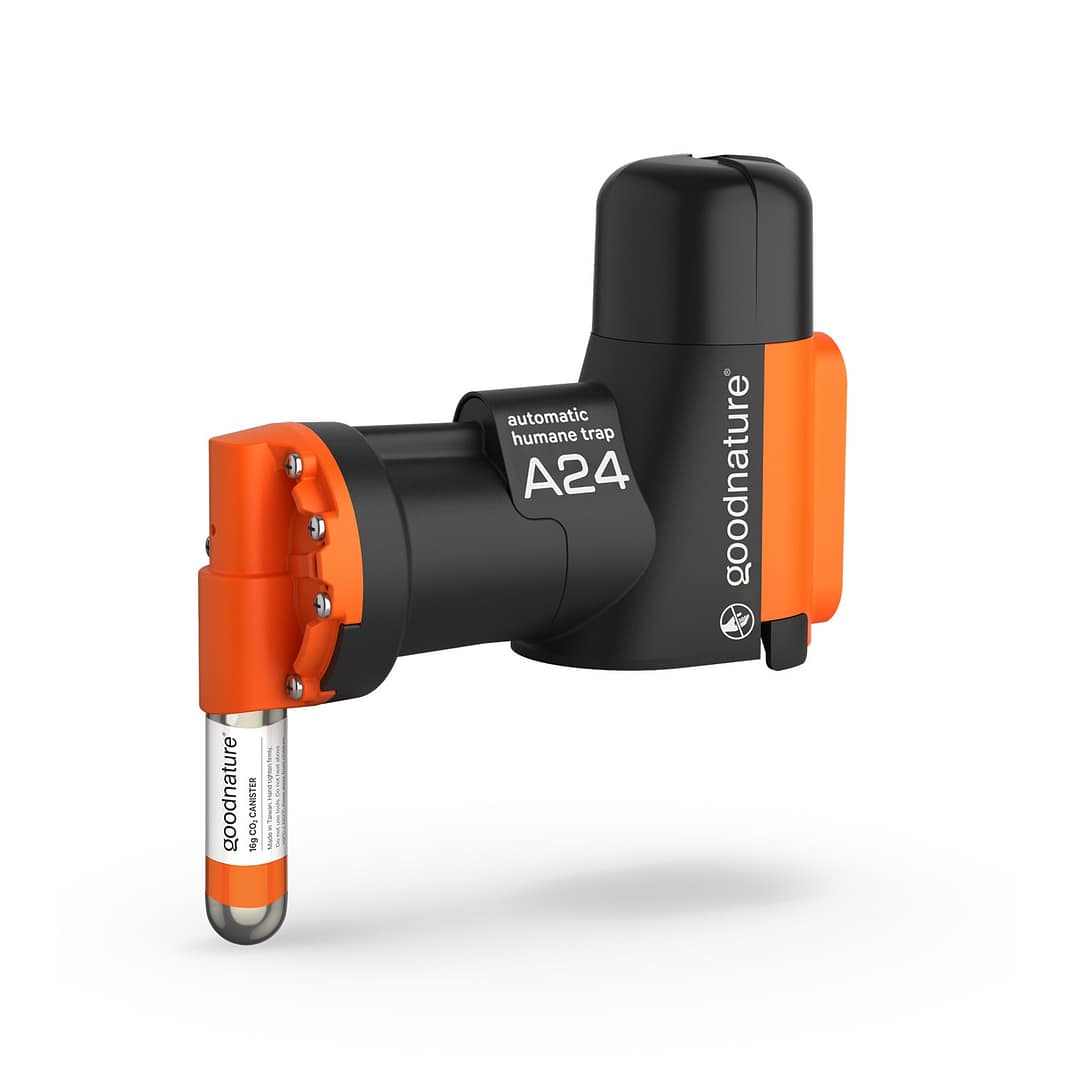 Goodnature® Starter Kit Trap