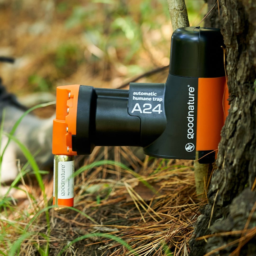 Goodnature® Starter Kit Trap - Image 3