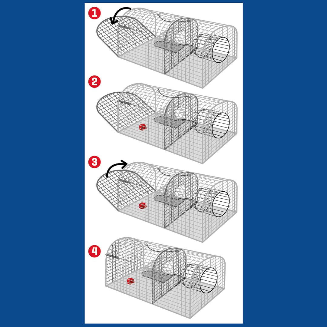 CAGE III Råttfälla Metallbur Dubbel 40cm - Bild 2