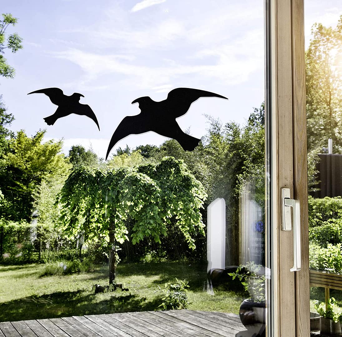 HAWK Bird silhouette different sizes 3 pcs