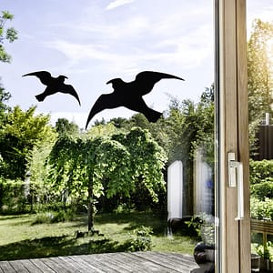 HAWK Bird silhouette different sizes 3 pcs