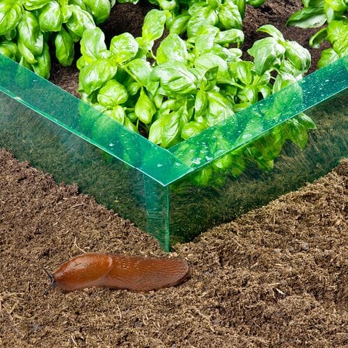 WALL Roll with snail protection Length 14m Height 20cm