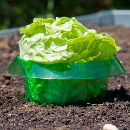 BARRIER Snail protect 6 pcs