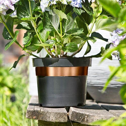 TAPE Copper tape, protects against snails, ants and spiders