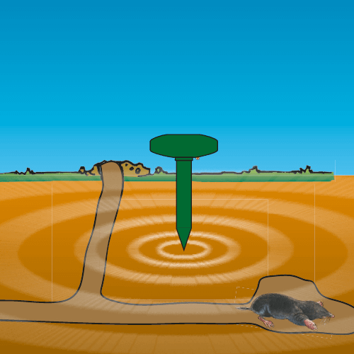 SOLAR Mullvad & Sorkskrämma Solcell - Bild 3
