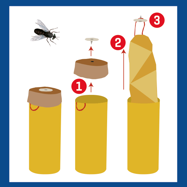 TRAP Fly Catcher – 4 Glue tubes - Image 2