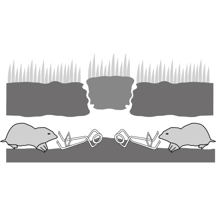WIRE Mole trap, 2 pcs - Image 3