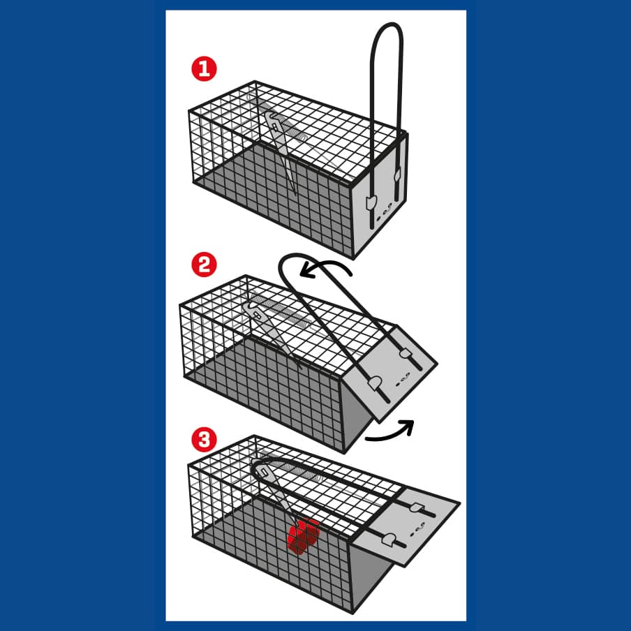 CAGE II Rat Trap Metal Cage 28cm - Image 2